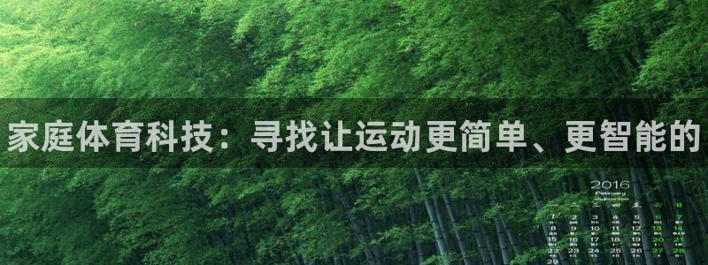 德国MK体育官方正版app集团:家庭体育科技:寻找让运动更简