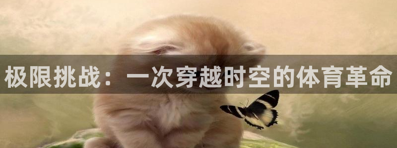 海南MK体育官网下载:极限挑战:一次穿越时空的体育革命