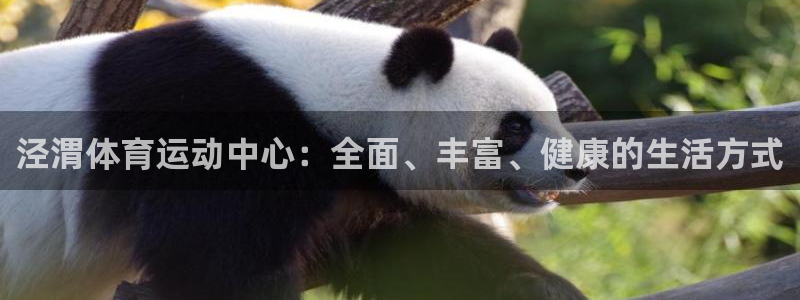 海南MK体育官网下载:泾渭体育运动中心:全面、丰富、健康的生