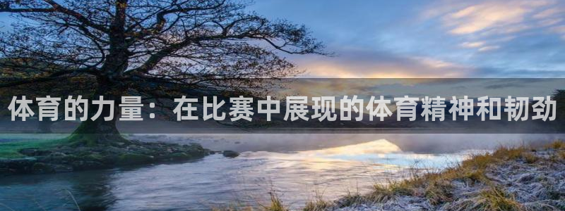 MK体育官网下载平台是正规平台吗知乎:体育的力量:在比赛中展